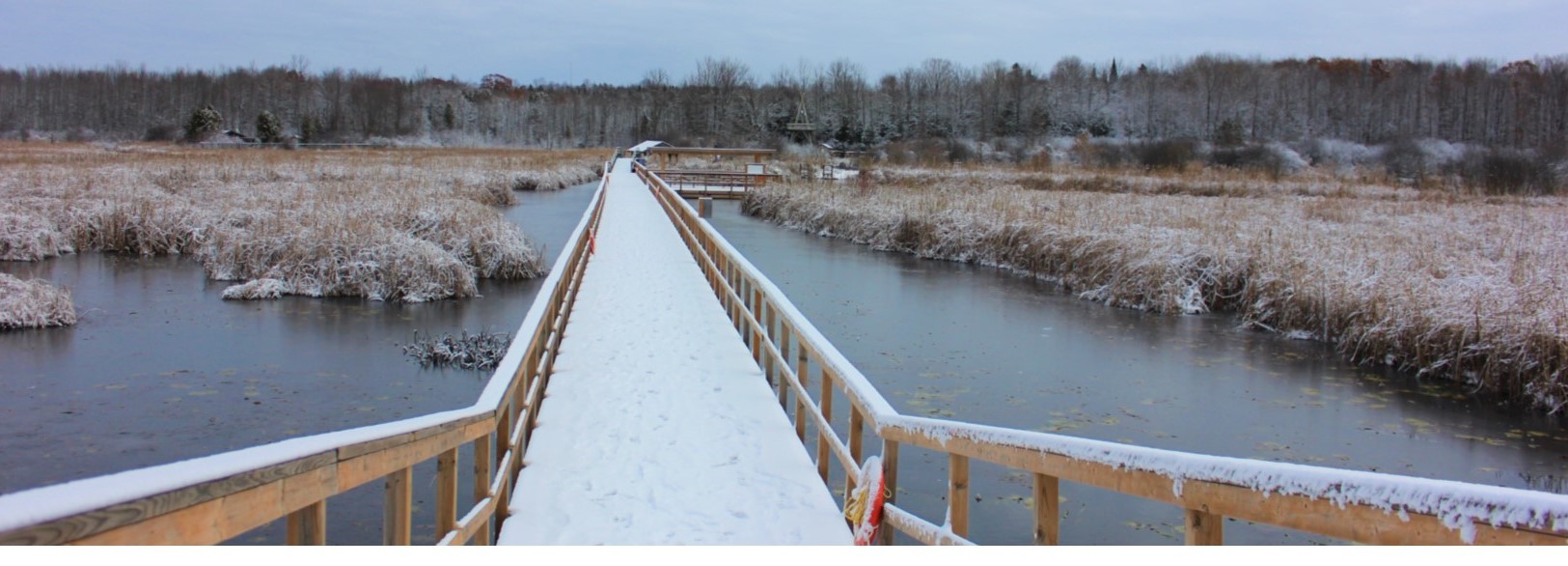 Winter Happenings